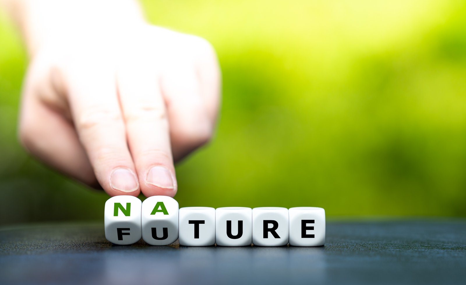 Nature and Future – environmental consulting